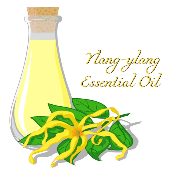 Olio essenziale di ylang-ylang — Vettoriale Stock