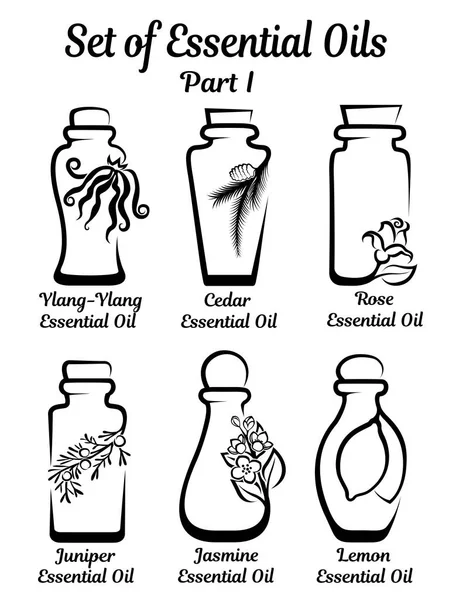 Set di flaconi stilizzati con oli essenziali — Vettoriale Stock