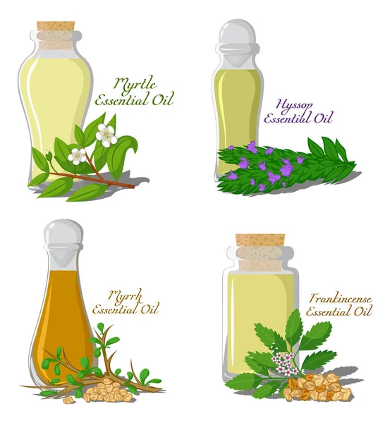 Illustration of essential oils. Part 3 — Stock Vector