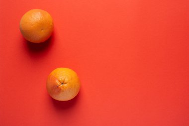 Mercan zemin üzerinde iki greyfurt bulunan soyutlama. en üstteki görünüm