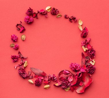 Kurumuş çiçeklerin yuvarlak bileşimi mercan kağıdının arka planında. Bir çelenk ve kurumuş çiçekler. Düz konum, boşluk kopyala, üst görünüm.