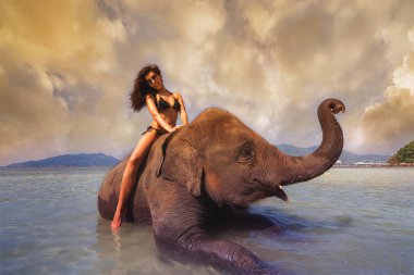 fil üzerinde oturan kadın