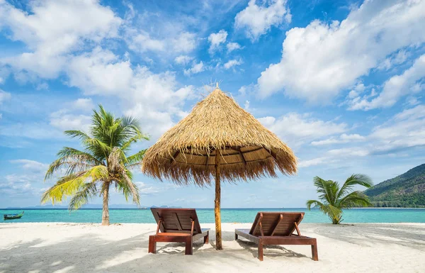 Beach chairs, umbrella and palms
