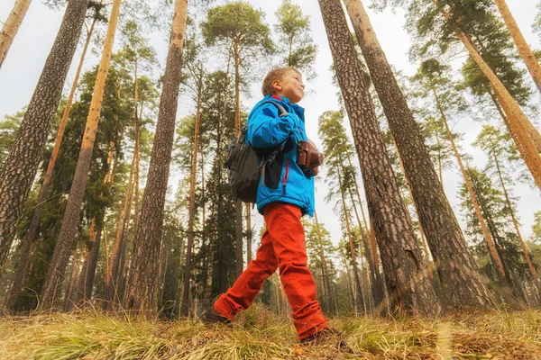 Garçon avec sac à dos et caméra marche en forêt . — Photo