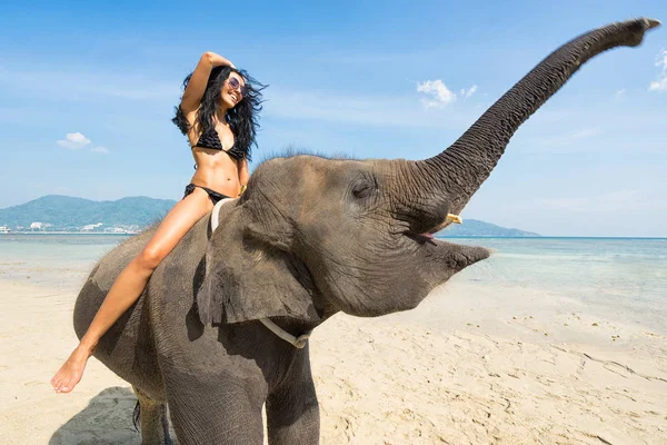 Žena v bikinách na slona — Stock fotografie