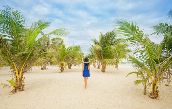 Woman walk between palms — Stock Photo, Image