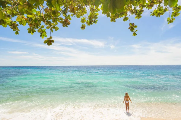 Mädchen Weißer Badebekleidung Steht Strand Blauer Himmel Und Grüne Blätter — Stockfoto