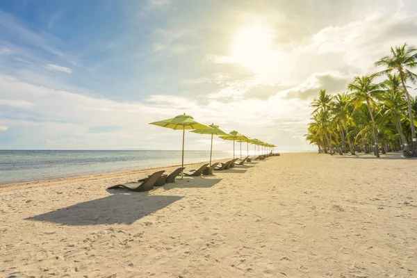 Hermosa Playa Con Tumbonas Sombrillas Palmeras Cielo Azul Mar Sobre — Foto de Stock