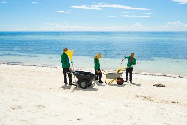 Arbetstagare Rengöring Stranden Från Sopor — Stockfoto