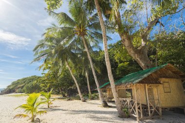 Tropikal bungalov, ağaç ve avuç içi sahilde.