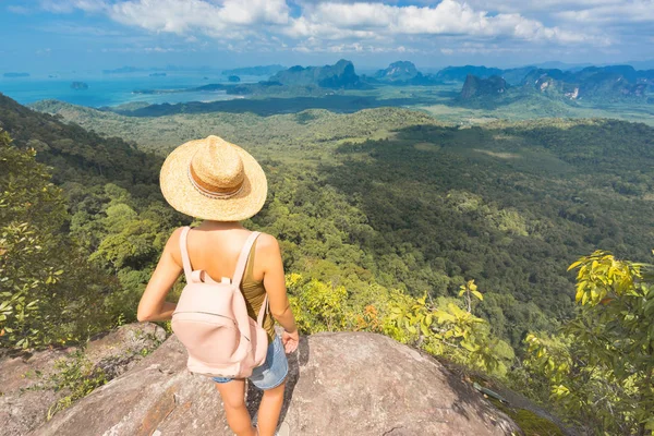 旅行者のバックパックを山の頂上に石の上に立って 渓谷と岩の風景の素晴らしい景色を帽子で 背面図 — ストック写真