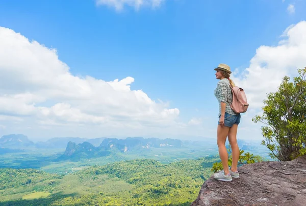 Pejalan Kaki Puncak Gunung Wisatawan Melakukan Perjalanan Dengan Ransel Dan — Stok Foto
