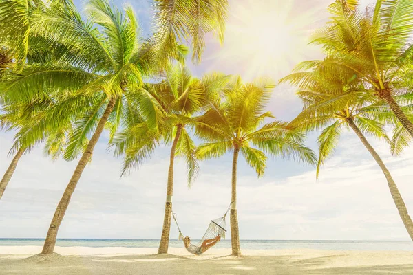 Femme Couchée Sur Hamac Entre Les Paumes Sur Belle Plage — Photo