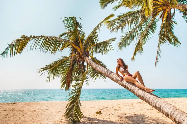 Mladá Žena Plavky Relaxační Beach Palm Tropické Dovolené Pláž Dovolená — Stock fotografie