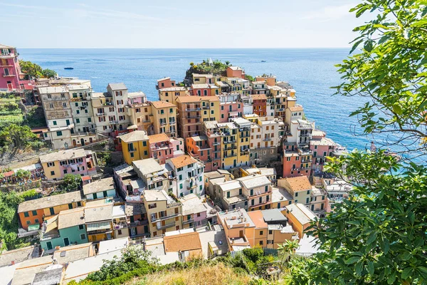 Färgglada Hus Manarola Village Cinque Terre Coast Italy Manarola Vacker — Stockfoto