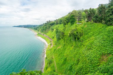 Mtsvane Kontskhi (Yeşil Pelerin) bölgesinde bulunan Batumi Botanik Bahçesi, Gürcistan.