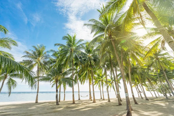 Hermosa Playa Tropical Hamaca Cocoteros Concepto Vacaciones Vacaciones — Foto de Stock