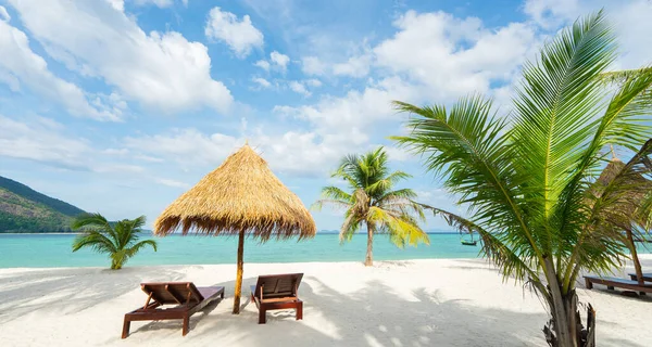 在热带国家度假 海滩上的椅子 伞和棕榈 横幅版 — 图库照片