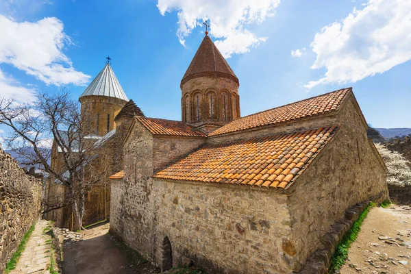 Ananuri Georgia Festning Med Ortodoks Kloster Kirke – stockfoto