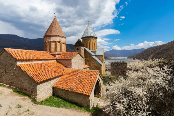 Ananuri Georgia Festning Med Ortodoks Kloster Kirke – stockfoto