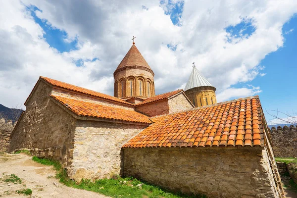 Ананури Грузии Крепость Православным Монастырем Церковью — стоковое фото