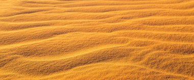 Kum dokusu dalgası. Seçici odaklanma. Pankart.