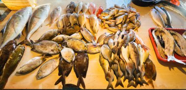 Fresh fishes in asian market. Selective focus. Banner.	