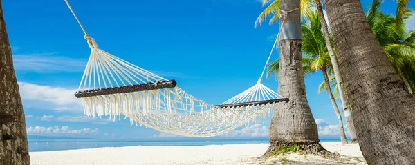 Tropikal sahildeki palmiyeler arasındaki hamak. Pankart sürümü.