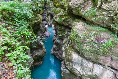 Martvili Kanyonu, Gürcistan 'ın yazlık manzarası..
