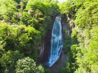 Makhuntseti (Mahuntseti) şelale. Adjara. Georgia mı? Hava görüntüsü. Hareket halindeki su bulanık.