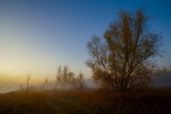 秋霧の深い朝の風景 — ストック写真