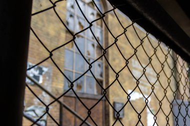 Rabitz boyunca evin duvarına bak..