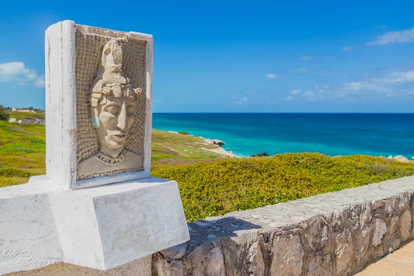Park Okyanusu kıyısında. Açık ve büyük dalgalar. Karayip Denizi. Meksika ada kadın
