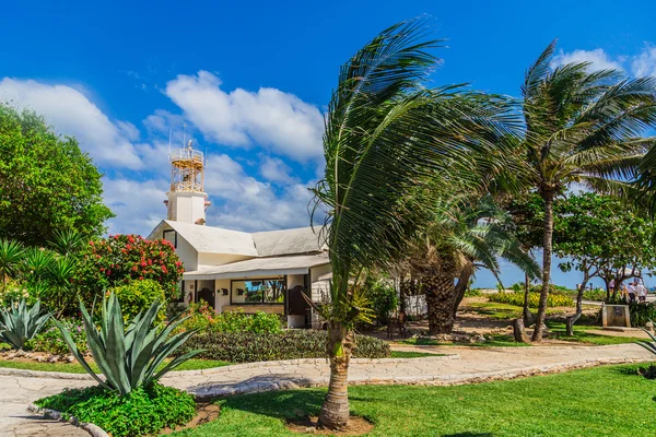 Park Okyanusu kıyısında. Açık ve büyük dalgalar. Karayip Denizi. Meksika ada kadın