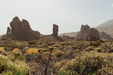 Teide Ulusal Parkı, Tenerife, Kanarya Adaları, İspanya. Kırmızı volkanik kayalar. Çölde dağlarla kaplı volkanik bir kanyon. Donmuş lavın güzel manzarası