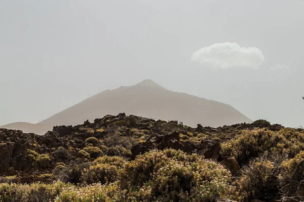 Teide Ulusal Parkı, Tenerife, Kanarya Adaları, İspanya. Kırmızı volkanik kayalar. Çölde dağlarla kaplı volkanik bir kanyon. Donmuş lavın güzel manzarası