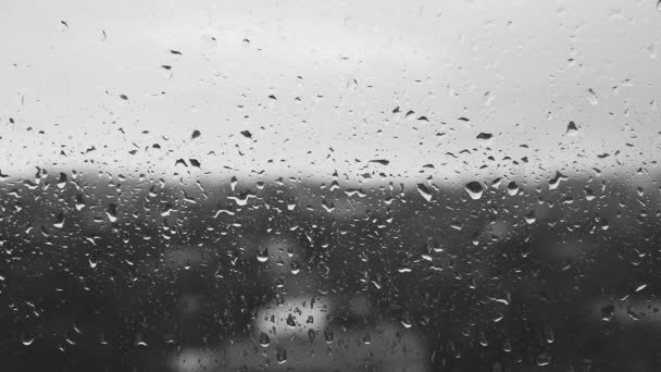 Regendruppels op een vensterruit, zwart-wit — Stockvideo