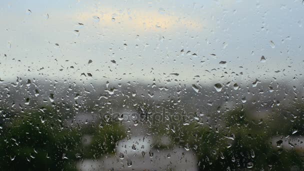 Gotas de lluvia en un cristal de ventana — Vídeos de Stock