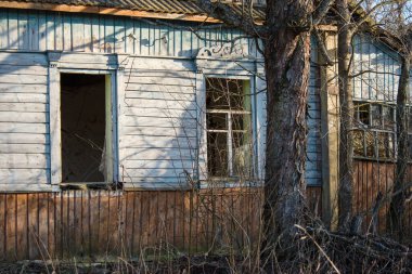 Çernobil sınırlama bölgesindeki ölü bir köyde terk edilmiş ahşap bir ev.