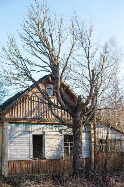 Casa Madeira Abandonada Uma Aldeia Morta Zona Exclusão Chernobyl — Fotografia de Stock