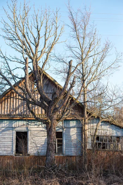 Casa Madeira Abandonada Uma Aldeia Morta Zona Exclusão Chernobyl — Fotografia de Stock