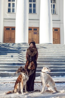 Bir köpek kış aylarında sokakta yürüyen kadın