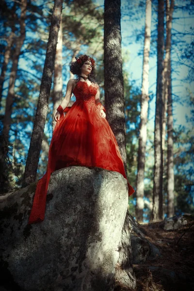 Sprookjesachtige beeld van een meisje in het bos — Stockfoto