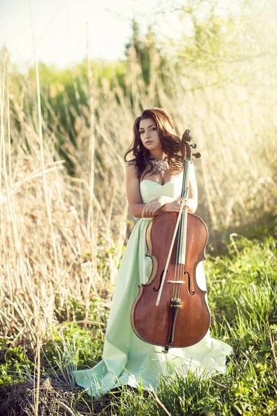 Chica con un violonchelo en una hierba alta — Foto de Stock
