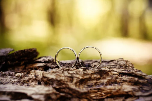 Snubní prsten na stromě — Stock fotografie