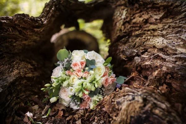 stock image Wedding bouquet in an old tree