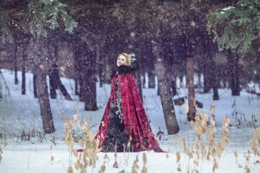 Güzel kız bir ahududu pelerin ve Crown ormanda