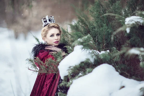 Красивая девушка в малиновом плаще и корона в лесу — стоковое фото