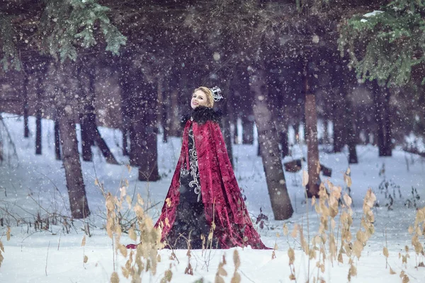 Güzel kız bir ahududu pelerin ve Crown ormanda