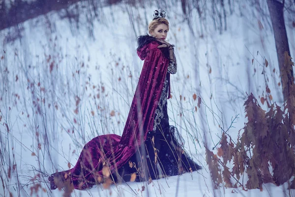 Bir kırmızı pelerin kar Prenses